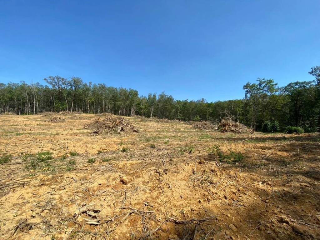 56,000 SQ.M Prime Land for Sale near Aopo Grand Marina 56,000 SQ.M Prime Land for Sale near Aopo Grand Marina