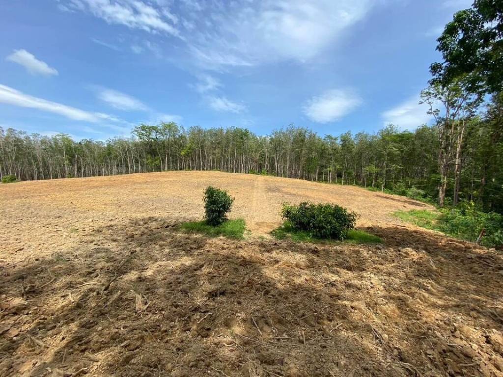 56,000 SQ.M Prime Land for Sale near Aopo Grand Marina 56,000 SQ.M Prime Land for Sale near Aopo Grand Marina