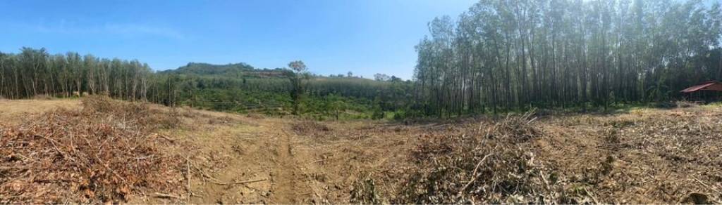 56,000 SQ.M Prime Land for Sale near Aopo Grand Marina 56,000 SQ.M Prime Land for Sale near Aopo Grand Marina