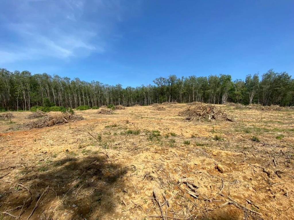 56,000 SQ.M Prime Land for Sale near Aopo Grand Marina 56,000 SQ.M Prime Land for Sale near Aopo Grand Marina