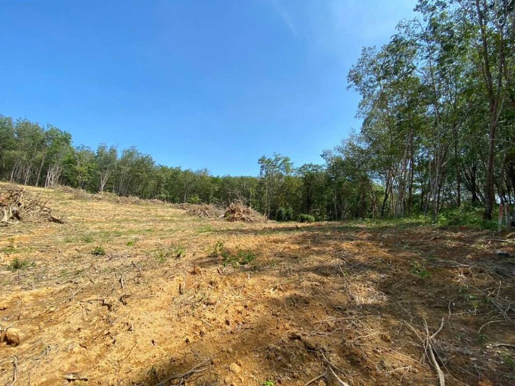 56,000 SQ.M Prime Land for Sale near Aopo Grand Marina 56,000 SQ.M Prime Land for Sale near Aopo Grand Marina