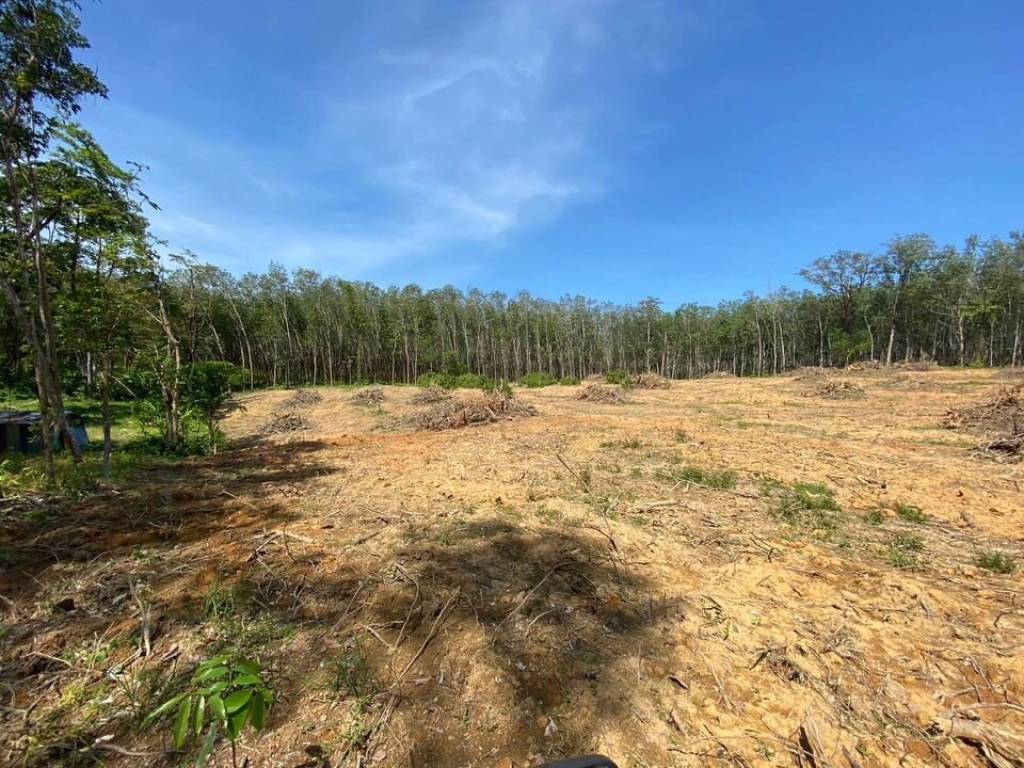 56,000 SQ.M Prime Land for Sale near Aopo Grand Marina 56,000 SQ.M Prime Land for Sale near Aopo Grand Marina