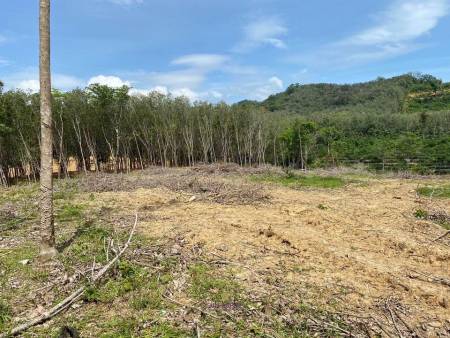 56,000 SQ.M Prime Land for Sale near Aopo Grand Marina