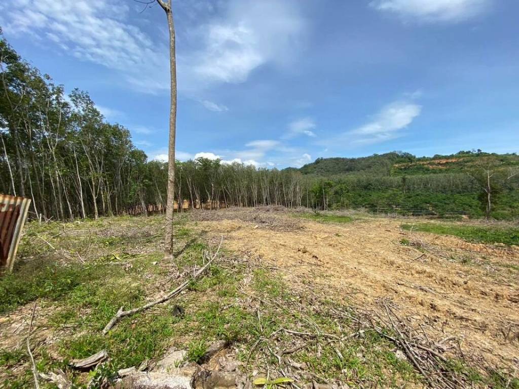 56,000 SQ.M Prime Land for Sale near Aopo Grand Marina 56,000 SQ.M Prime Land for Sale near Aopo Grand Marina