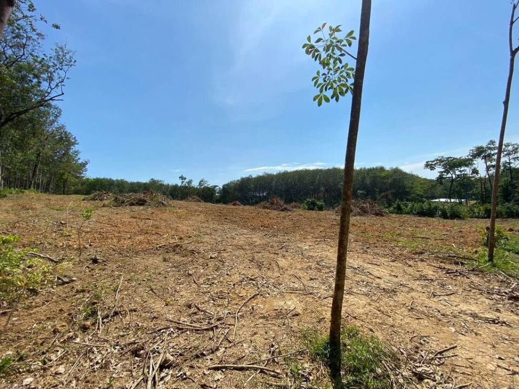 56,000 SQ.M Prime Land for Sale near Aopo Grand Marina 56,000 SQ.M Prime Land for Sale near Aopo Grand Marina