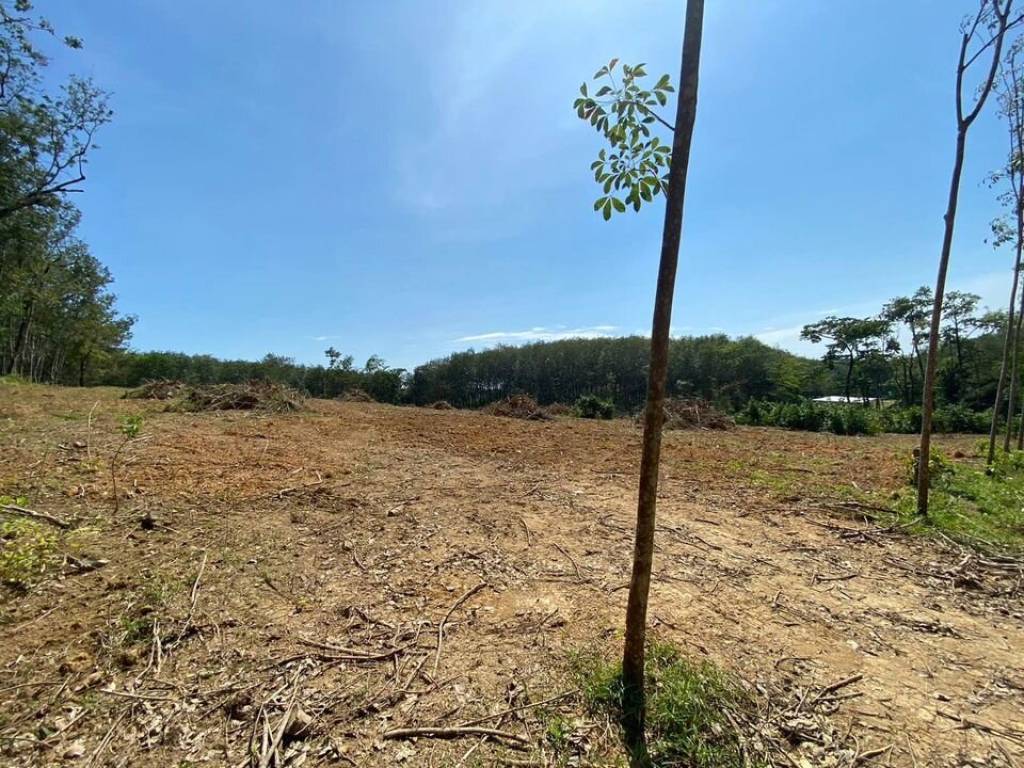 56,000 SQ.M Prime Land for Sale near Aopo Grand Marina 56,000 SQ.M Prime Land for Sale near Aopo Grand Marina