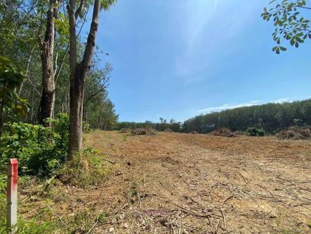 56,000 SQ.M Prime Land for Sale near Aopo Grand Marina