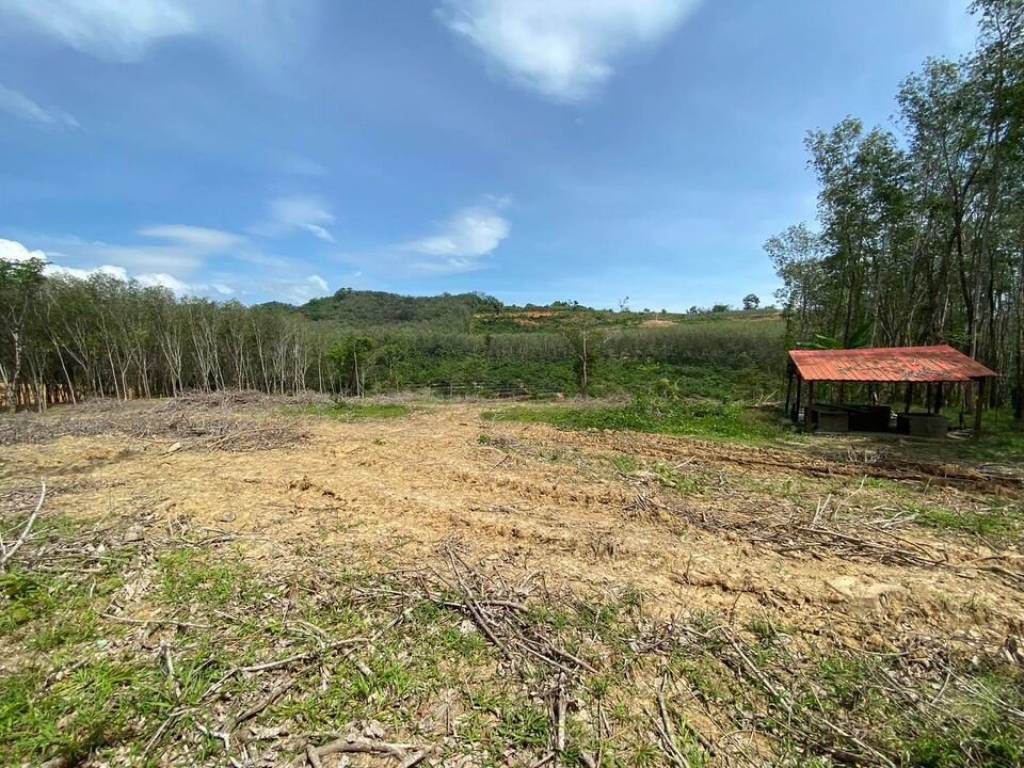 56,000 SQ.M Prime Land for Sale near Aopo Grand Marina 56,000 SQ.M Prime Land for Sale near Aopo Grand Marina