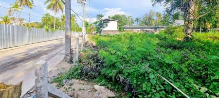 Prime 3,600 SQ.M. Land For Sale In Bang Tao,Phuket