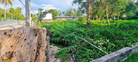 Prime 3,600 SQ.M. Land For Sale In Bang Tao,Phuket