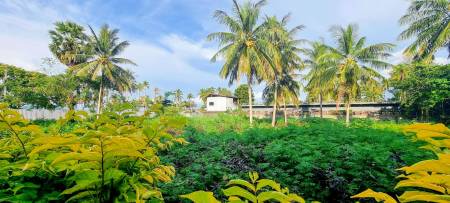 Prime 3,600 SQ.M. Land For Sale In Bang Tao,Phuket