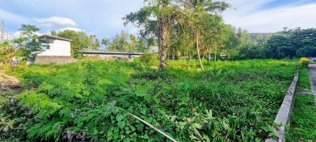 Prime 3,600 SQ.M. Land For Sale In Bang Tao,Phuket