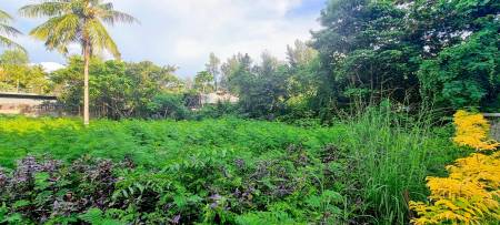 Prime 3,600 SQ.M. Land For Sale In Bang Tao,Phuket