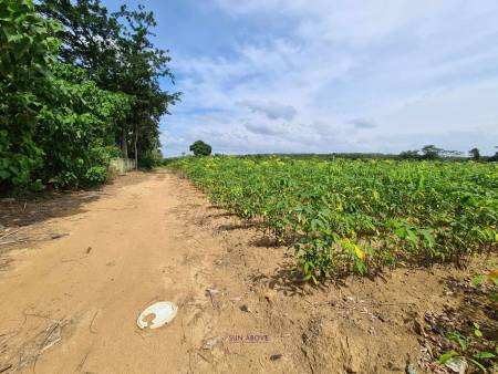 73,600 ตร.ม ที่ดิน For ขาย