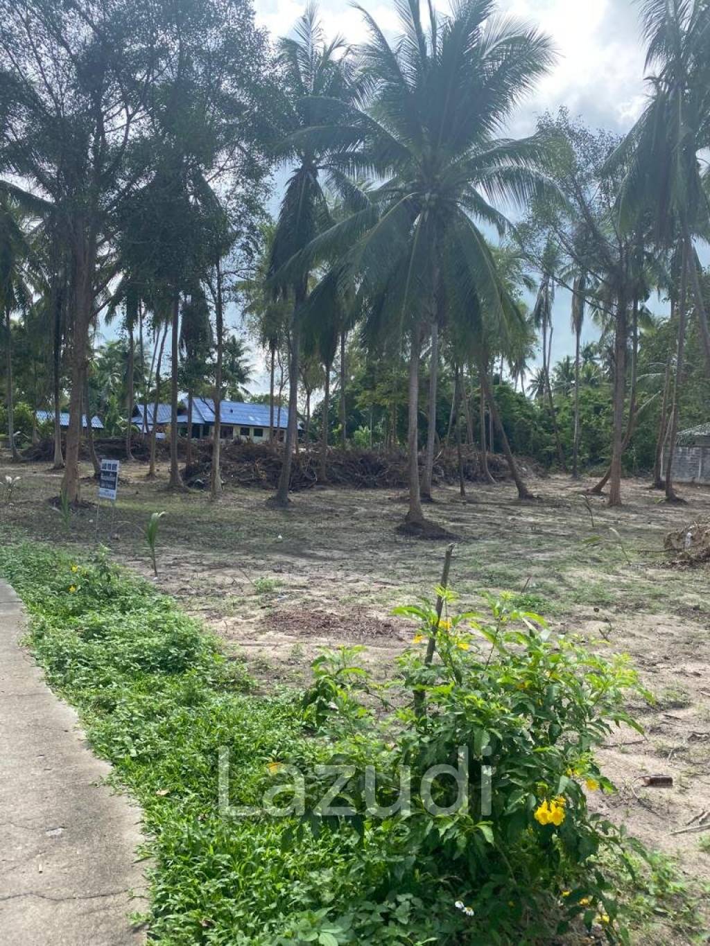 Prime Land in Bantai Beach, Koh Samui: 2.93 Rai