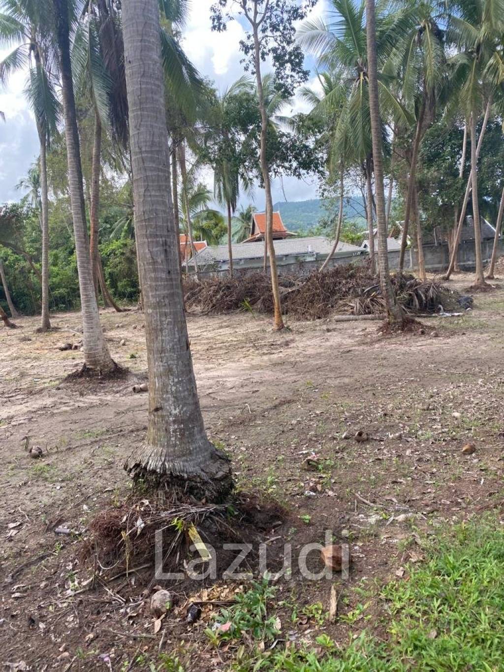 Prime Land in Bantai Beach, Koh Samui: 2.93 Rai