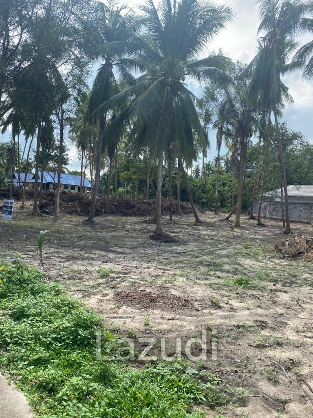 Prime Land in Bantai Beach, Koh Samui: 2.93 Rai