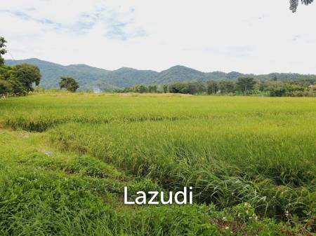 15 Rai Beautiful Land For Sale in Ban Du