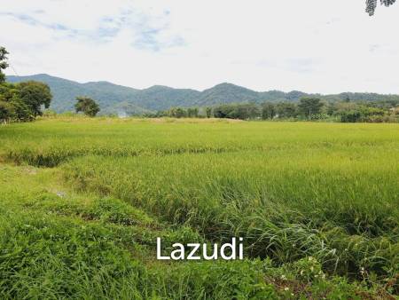 15 Rai Beautiful Land For Sale in Ban Du 15 Rai Beautiful Land For Sale in Ban Du