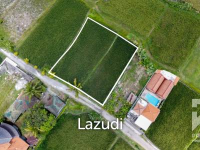 Dijual Tanah Lahan Murah View Sawah Kemenuh Dekat Ubud Bali
