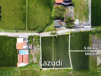 Dijual Tanah Lahan Murah View Sawah Kemenuh Dekat Ubud Bali