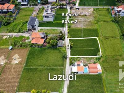 Dijual Tanah Lahan Murah View Sawah Kemenuh Dekat Ubud Bali