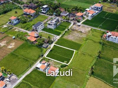 Dijual Tanah Lahan Murah View Sawah Kemenuh Dekat Ubud Bali