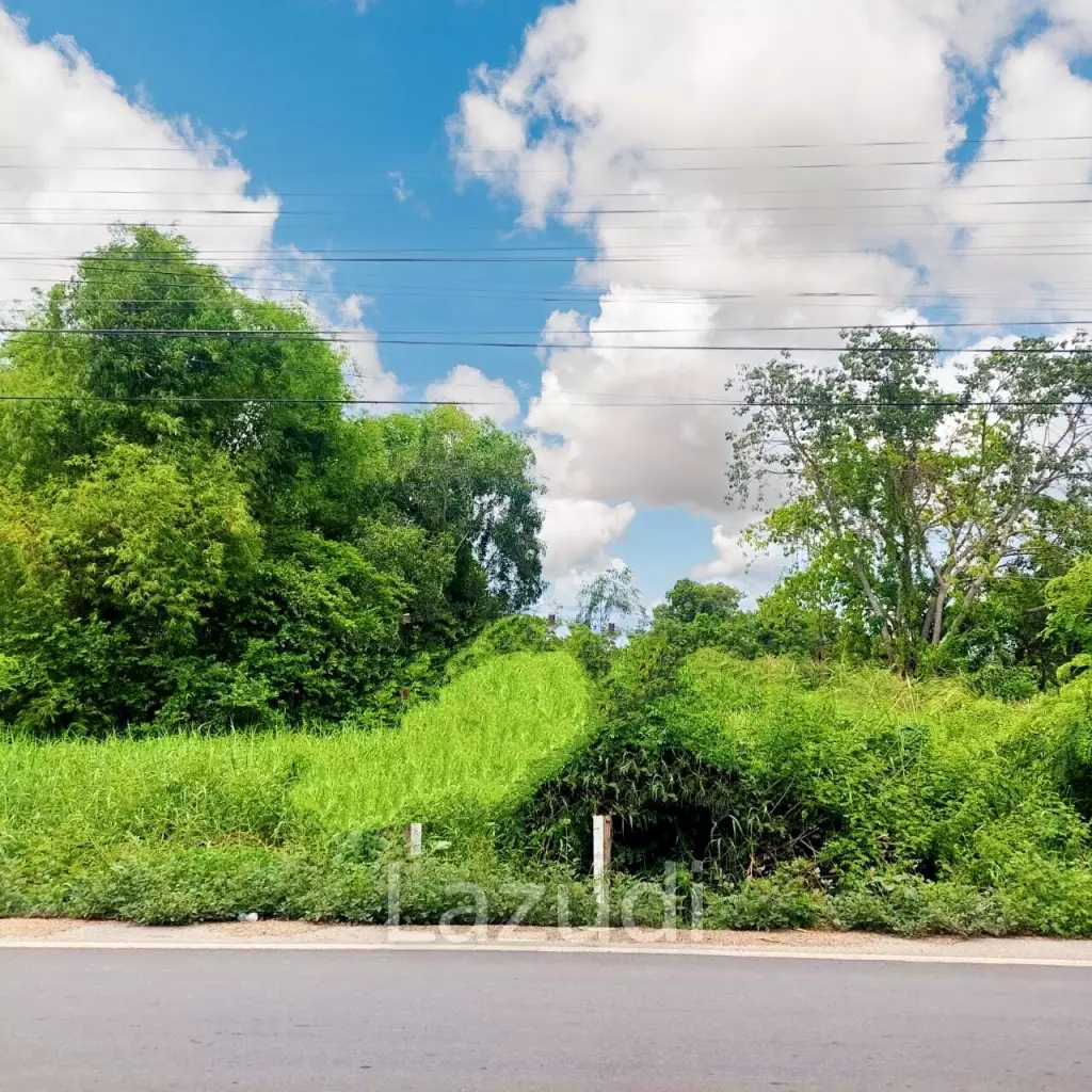 Land for sale in Rangsit Klong 5