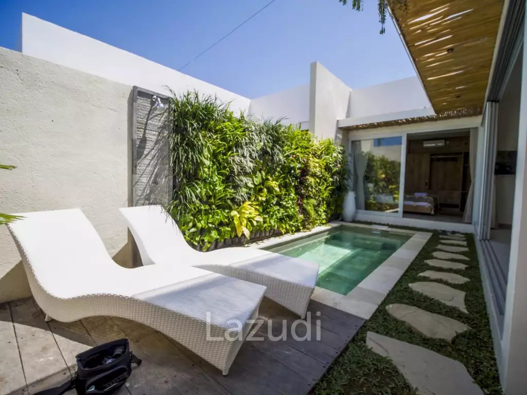 One Bedroom Off Plan Development in Kerobokan