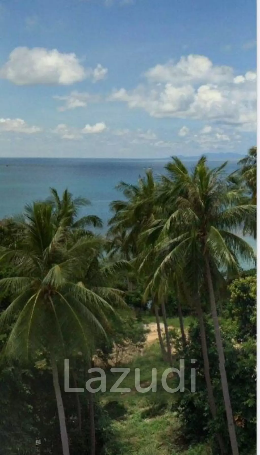 Exceptional Land Opportunity: 20 Rai (32,000 sqm) in Had Khom, North Coast, Koh Phangan
