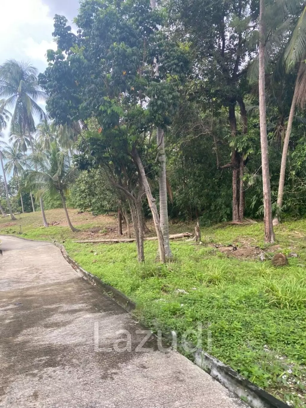 Exceptional Land Opportunity: 20 Rai (32,000 sqm) in Had Khom, North Coast, Koh Phangan