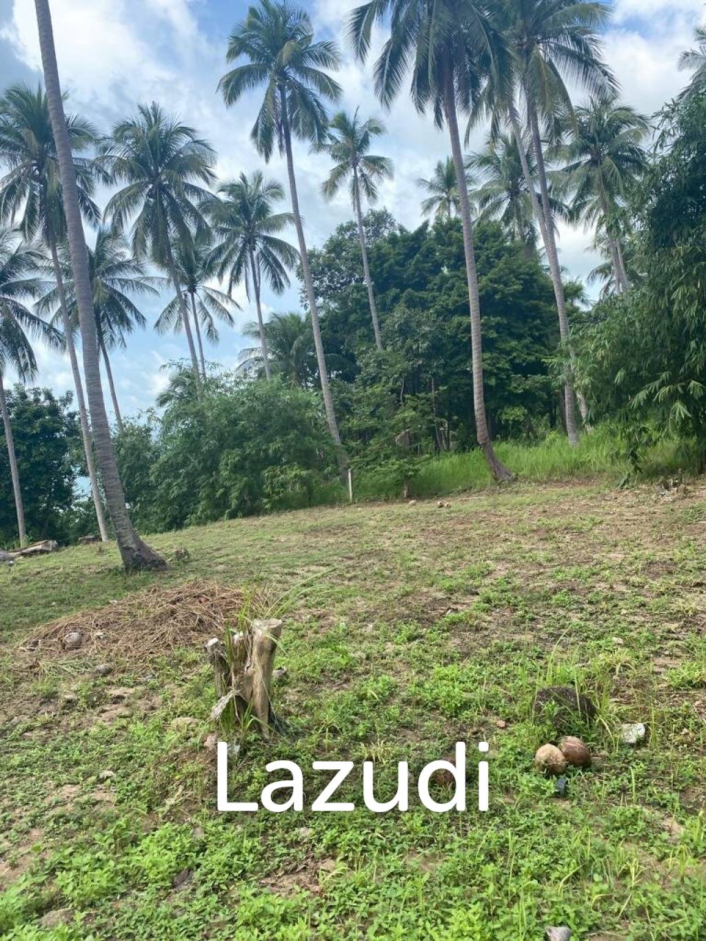 Exceptional Land Opportunity: 20 Rai (32,000 sqm) in Had Khom, North Coast, Koh Phangan