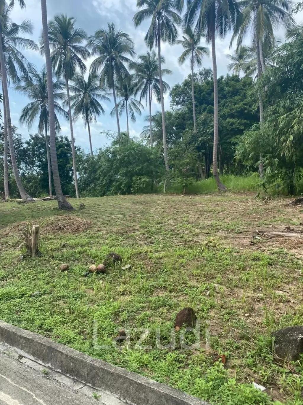 Exceptional Land Opportunity: 20 Rai (32,000 sqm) in Had Khom, North Coast, Koh Phangan