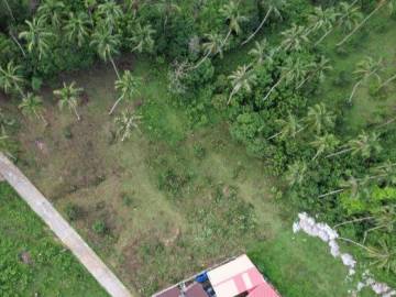 LAND PLOTS 1600 SQ.M at MAENAM SOI 1