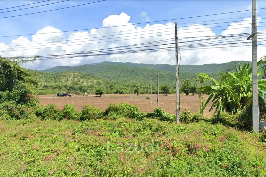 49 Rai Land For Sale with Mountain View