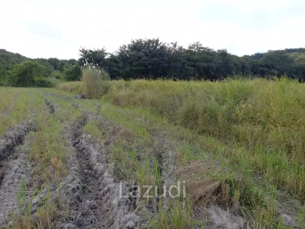 ขายที่ดิน 19 ไร่ติดกับบายพาสเชียงราย-เชียงแสน