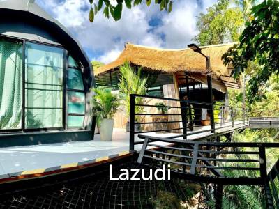 Tranquil Oasis Retreat: A Turnkey Paradise for Sale