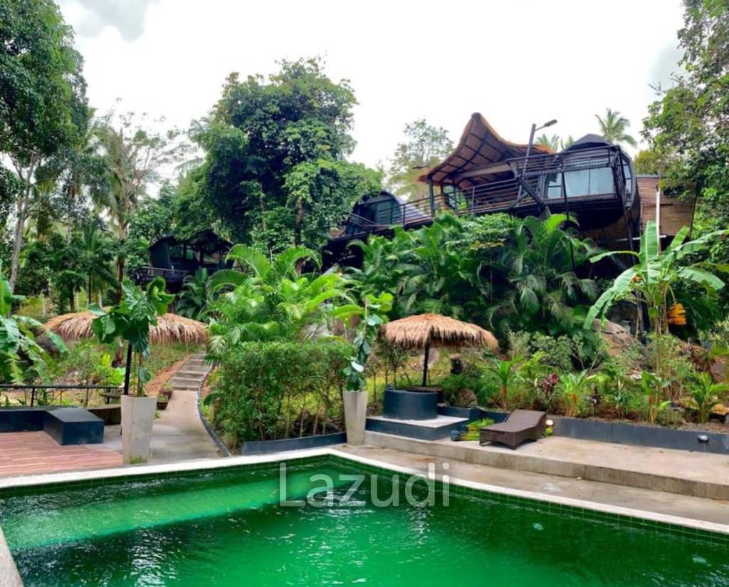 Tranquil Oasis Retreat: A Turnkey Paradise for Sale
