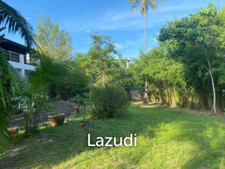 Serene Luxury Unveiled: 400 sqm Villa on 1600 sqm  with Rock-Embedded Pool and Picturesque Park Views