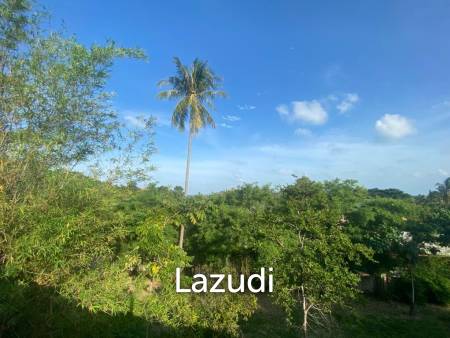 Serene Luxury Unveiled: 400 sqm Villa on 1600 sqm  with Rock-Embedded Pool and Picturesque Park Views