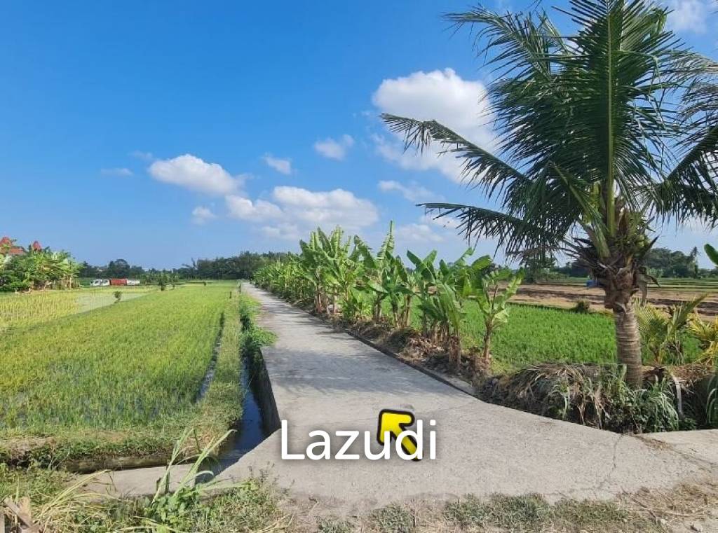 Perfect Freehold Land 10 minutes from Tanah lot beach