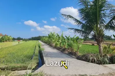 Perfect Freehold Land 10 minutes from Tanah lot beach