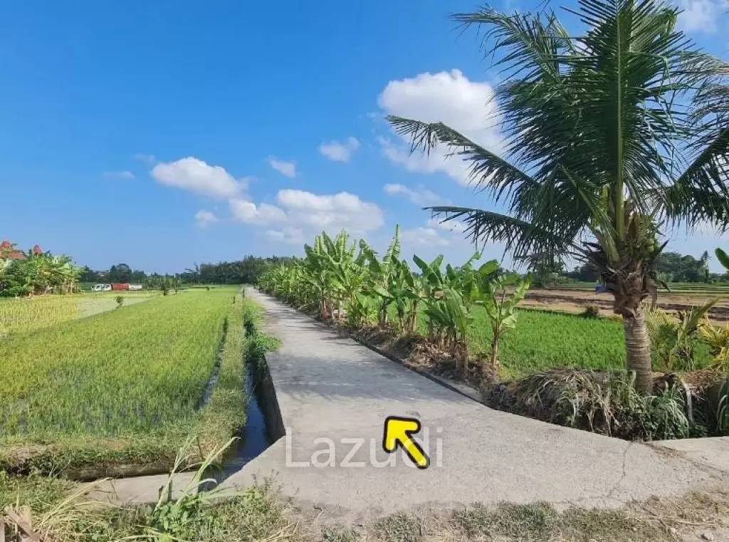 Perfect Freehold Land 10 minutes from Tanah lot beach