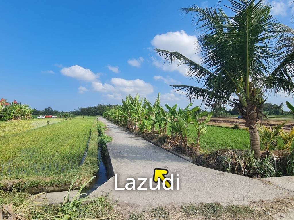 Perfect Freehold Land 10 minutes from Tanah lot beach