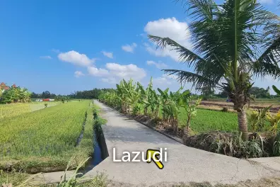 Perfect Freehold Land 10 minutes from Tanah lot beach