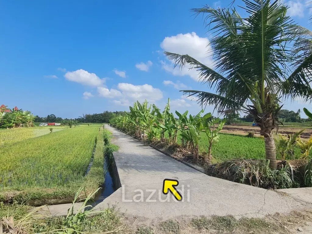 Perfect Freehold Land 10 minutes from Tanah lot beach