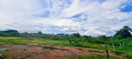 27,955.6 SQ.M. Land for Sale In Thalang