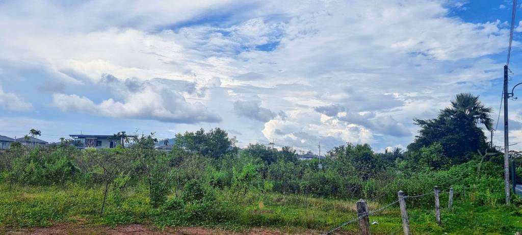 27,955.6 SQ.M. Land for Sale In Thalang