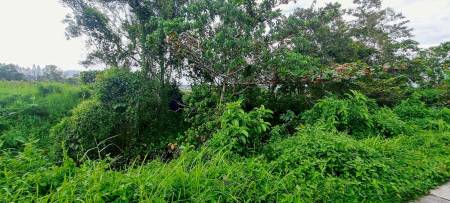 27,955.6 SQ.M. Land for Sale In Thalang