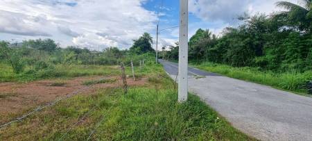 27,955.6 SQ.M. Land for Sale In Thalang